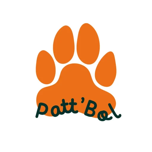 icon-pattbol